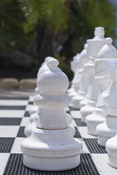 Chess set, row of pieces outside on the background of palms