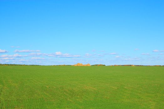 photo of the green field with stack