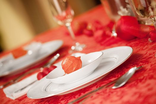Elegant Christmas table setting in red with a Japanese lantern flower as focal point