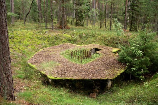 The base of a coastal artillery piece 1900