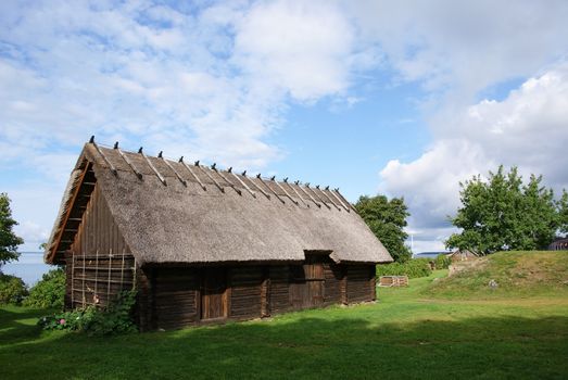 Wooden shed with a roof from a cane