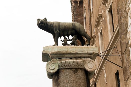 The statue of Romul and Remus off the side of Piazza del Campidoglio.  Romuls and Remus are the founders of Rome and rased by the shewolf.