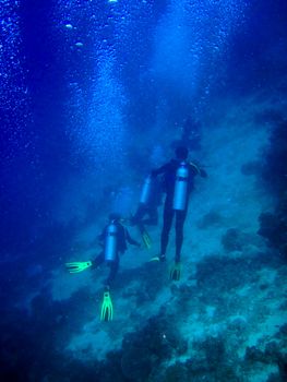 under water world at Maldives blue clear sea