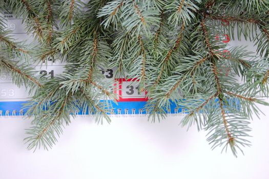 Blue spruce branches removed close up against a calendar with date on December, 31st