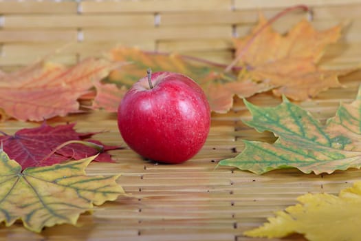 Red apple on a bamboo napkin removed close up against autumn leaves