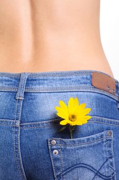 Female jeans with a flower in a pocket removed close up