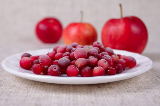 The frozen cowberry on a linen napkin against three red apples