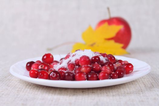 Cowberry in sugar on a linen napkin against an apple and a maple leaf removed close up