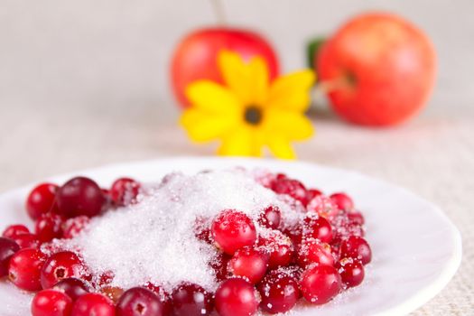 Cowberry in sugar against apples and a flower removed close up