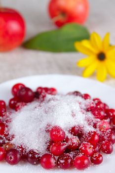 Cowberry in sugar on a white dish removed close up against apples and a flower