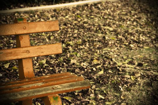 The end of an old park bench surrounded by fallen leaves on the ground.
