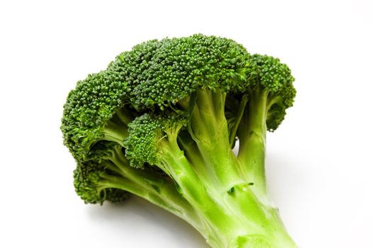 A piece of broccoli