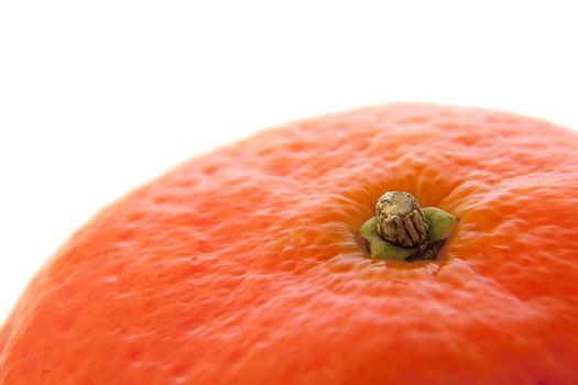Detail shot of a single mandarine against white