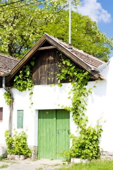 folk wine cellar, Jetzelsdorf, Lower Austria, Austria