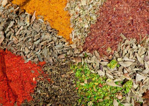 Dry spices background. A set of colour dried flavoring
