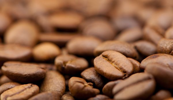 Coffee grain close up. Effect bokeh