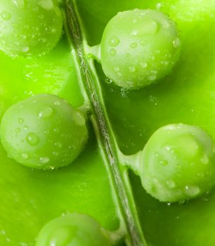 Pea. A photo close up of peas with water drops