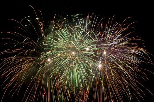 multi colored firework flowers