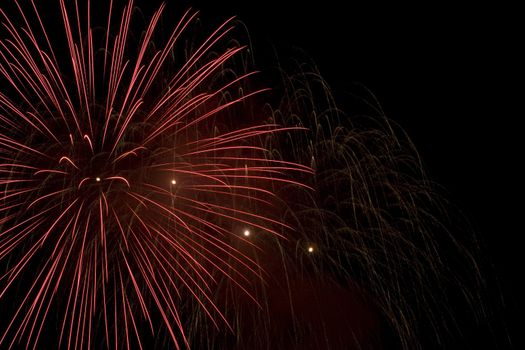 multi colored firework flowers