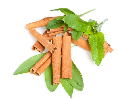 Cinnamon and green leaves. A heap of sticks of cinnamon on a white background