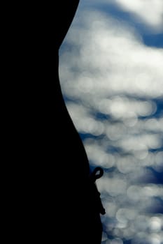 Silhouette of the woman and blur a background