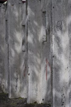 Concrete wall in montreal, seen throught the shadows of leaves, with barely any graffiti