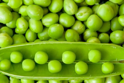 Pea background. A photo close up of green peas, bean