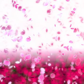 Pink Sakura Asian Themed Cherry Blossom Background