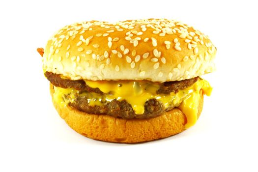 Double Cheese Burger the ultimate fast food meal