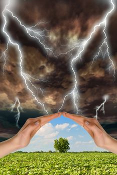 Two hands preserve a green tree against a thunder-storm. Concept of preservation of the nature