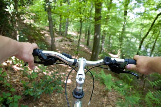 Mountain biking, from a subjective point of view
