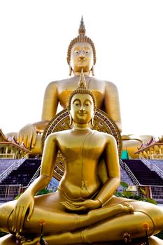 Golden Buddha Statue  in temple of Thailand