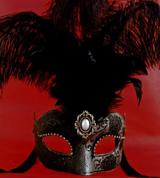 Mask with feathers