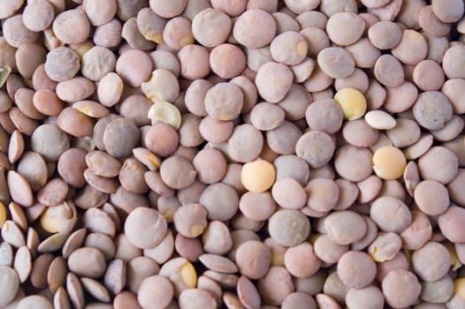 Lentils Background