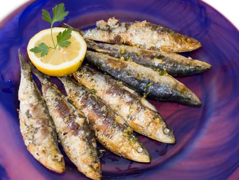 Cooked sardines for restaurant