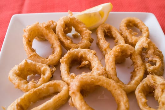  Seafood - Fried Calamari, plate for restaurant