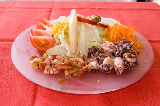   Baked squids with salad on plate 