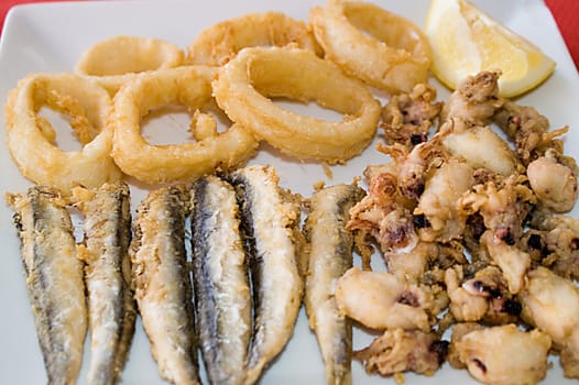 anchovy,calamary, and small cuttlefish fried