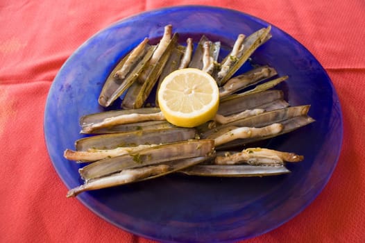 razor shell seafood,tipical galician food