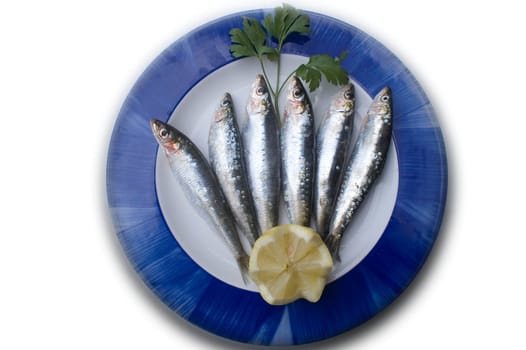 fresh sardines,plate for restaurant