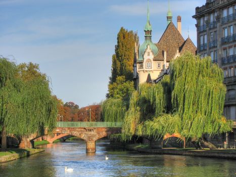 Detail of Strasbourg River, France, 2006