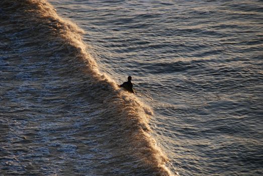 Surfer in Galveston, Texas, 2008