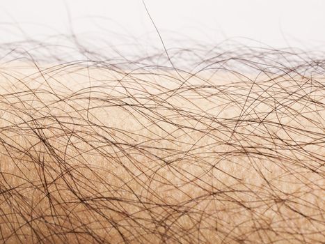 close up of human body hair