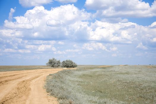 Beautiful summer landscape with blue sky and white clouds