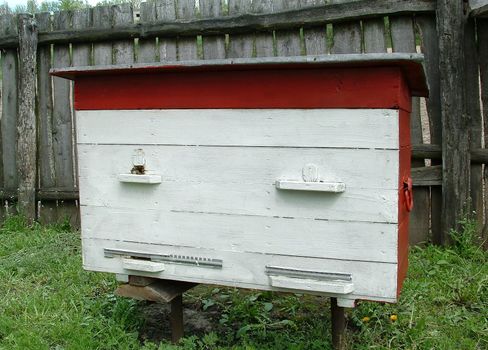 The image of a bees house in village on a personal plot in May.

