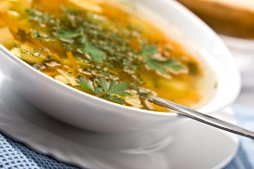 food: macro picture of soup with parsley