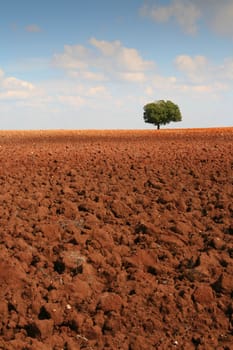 Alentejo Landscape