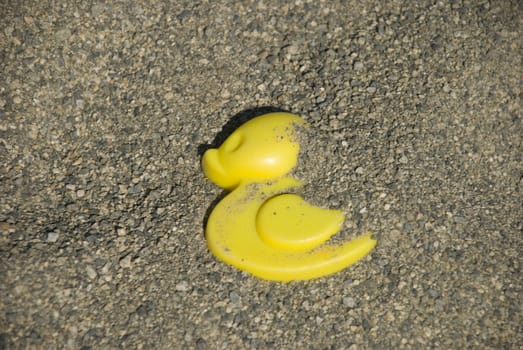 Plastic duck in the sand