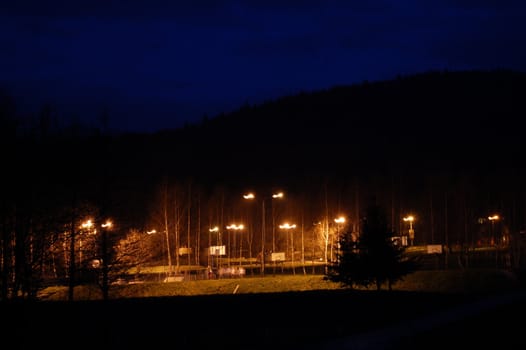 lights in park by night