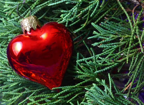 Heart Christmas ornament on evergreens